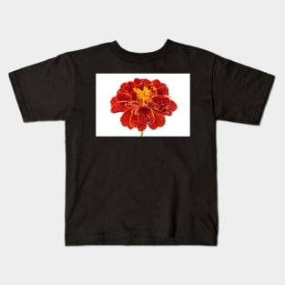 Tagetes patula &#39;Red Cherry&#39; French marigold Kids T-Shirt